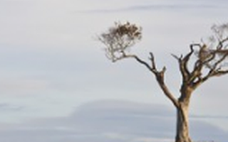 深圳光大领投 芒果TV完成B轮约15亿元融资