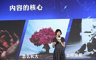 张泉灵：春天的罗振宇，夏天的papi酱和秋天的马东