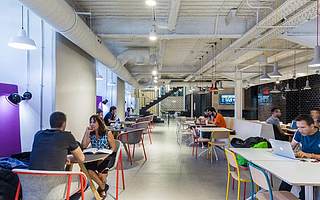 未来的网络红利在哪里？