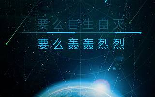 慎讀 | 互聯網創業大略