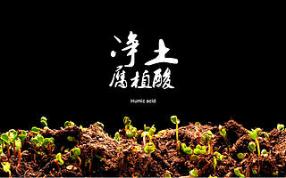 脚下土地有毒，济南原创土壤修复技术用的竟是它？