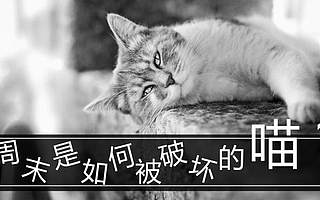 解决垃圾广告&垃圾邮件手册