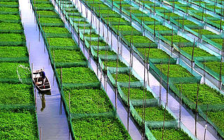 农业物联网的发展及未来趋势