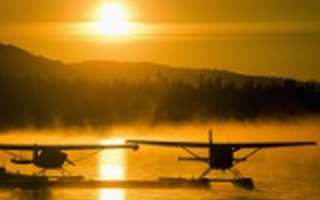 粉丝经济作用下 数字音乐产业渐成气候