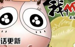 神居动漫获数百万元天使轮融资 欲搭建二次元生态