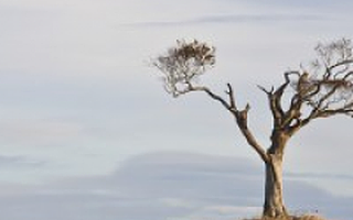 国安创客学院刘音奇：开展创业培训要解决的四个方面问题