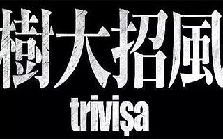 滴滴优步大一统：B2C觉醒，C2C自赎