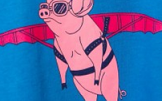 当猪飞不起来以后，如何做一名体面的创业者？