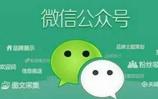 草根公众号的出路在哪里