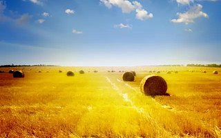 你知道有机农业，那你知道功能农业吗？