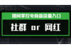 创业新青年｜如何掌控电商新流量入口，社群 or 网红？