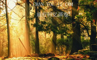 一个CEO的血泪反思：34家VC都不投资我，到底哪些地方出了错？