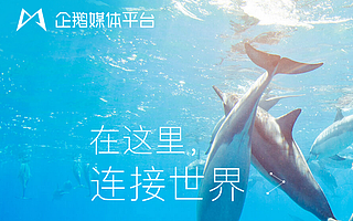 头条号10亿扶持,BAT持什么姿态?