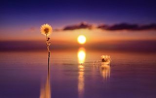 “先报税、后申报”该如何操作?