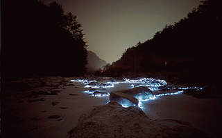 会计们注意!企业所得税预缴申报有重要变化!