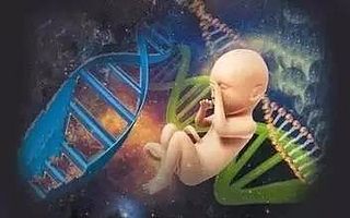 国庆系列|无创产前诊断技术与应用浅析