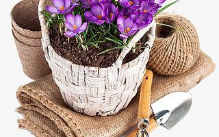 生活不止抑郁和言语暴力,还有园艺和远方