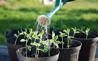 植物还有毒?不怕,有宜植爱即时呵护