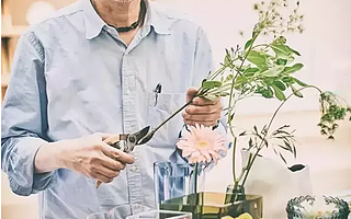 宜植愛人物課堂:香港花藝設(shè)計(jì)師——蔡乃鄉(xiāng)(內(nèi)有彩蛋)