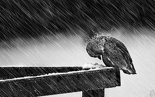 工程师型天使投资王啸：寒冬下追问创业者是否有必要活着？