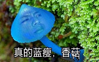 为你全方位揭秘蓝瘦香菇是啥？为啥一下子就火了？刚点开就笑喷了