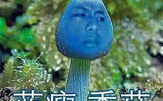 在武汉上班，没有社保简直让人“蓝瘦香菇”