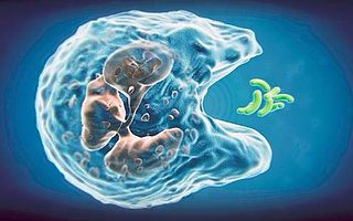 李懿教授：基于高亲和T细胞受体的精准免疫治疗