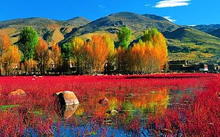 这个秋天一旦去过这些地方，别处再美都是将就！