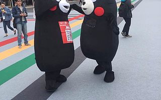 （图集）2016云栖大会一只熊的平躺告白