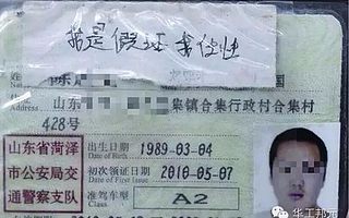 办假驾照的，你这样的智商怎么和交警蜀黍斗