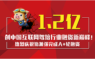 1.2亿！猪兼强创造中国驾培行业融资新巅峰