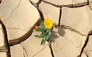 2017年司法考试—心怀梦想,即使遥远