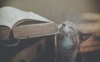 2017年司法考试民法解题方法与技巧