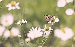 2017年司法考试民法复习不得不知的要领