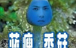 给艺术家签到的5个香菇-国际艺术节现身说法