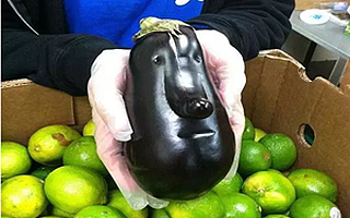 没想到你是这样的蔬菜......