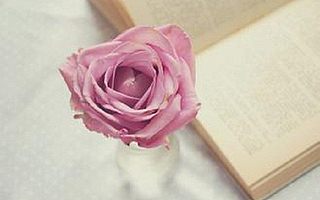 2017年司法考试备考要学会科学用脑