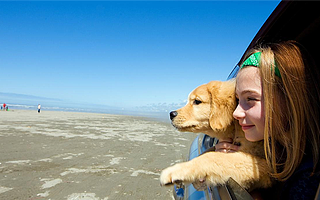 某知名旅行社違規罰款2萬,心存僥幸何時休?