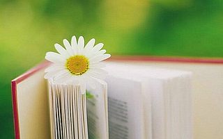 2017年司法考试备考如何分析历年真题？