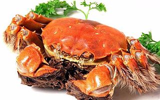 大闸蟹致流产可信吗?孕期饮食注意事项,孕妈须知!
