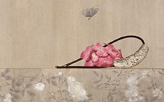 如何成为2017年司法考试的幸运者？