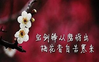 2017年司法考试备考的好帮手——模拟题