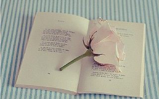 2017年司法考试合同法如何学习