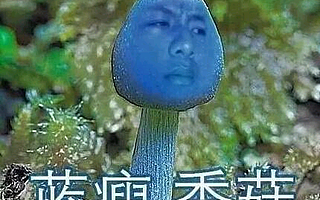 从“蓝瘦香菇”谈:特色农产品的“品牌识别”