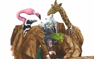 职场生态圈危机四伏:你在食物链的第几层?