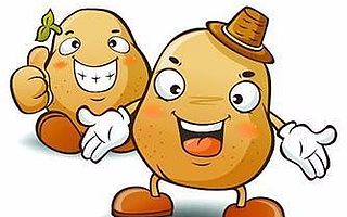 在品牌庇护下,河北围场“小土豆”变身“金豆豆”