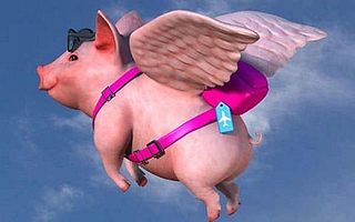 刘强东企业内部演讲：风来得越快，猪死得越快