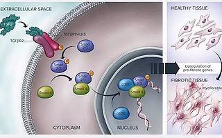 透过“全球最热门生物技术公司”看未来生物制药趋势