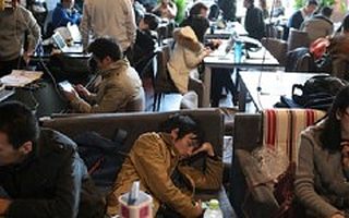 创业失败:风口的猪飞不起来了