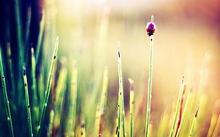 2017年司法考试历年真题如何题尽其用？